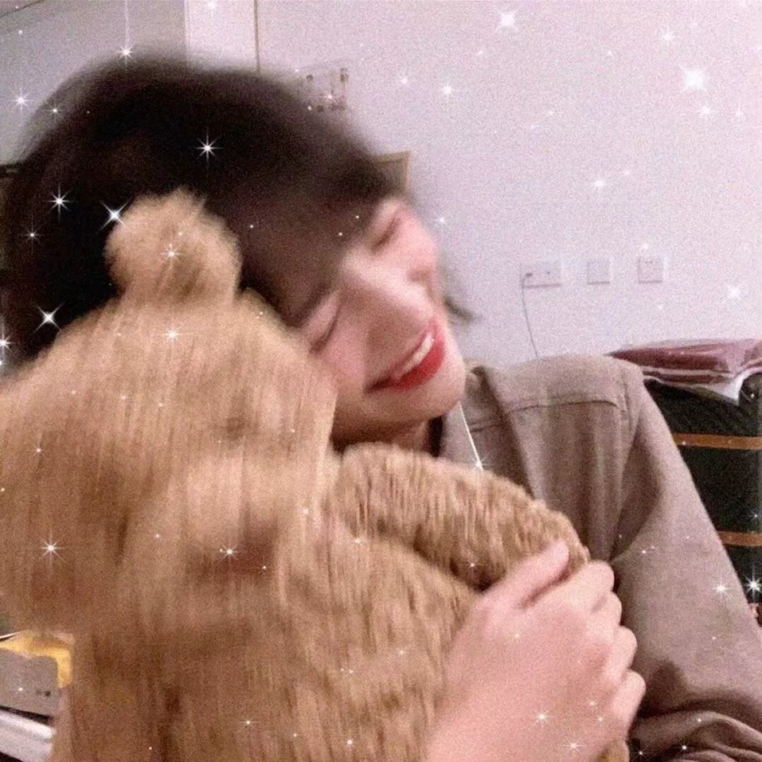 功夫梦
